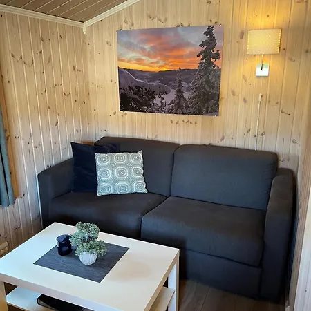 Fagernes Camping 4*
